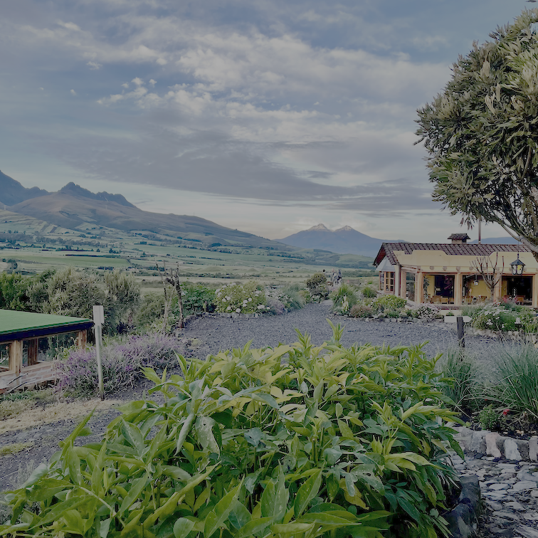 Seminarraum im Grünen